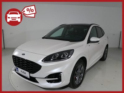 Ford Kuga 2,0 EcoBlue AWD ST-Line X Aut. | FORD STAHL W22 bei  Auto Stahl in 